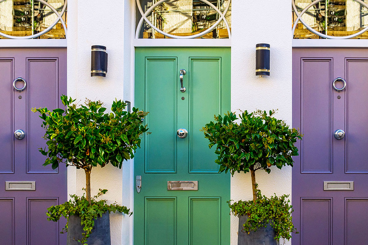 Purple And Green Doors